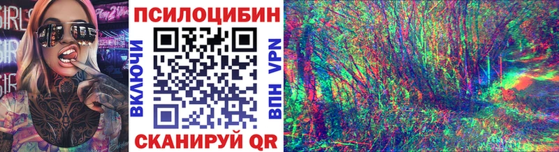 что такое наркотик  даркнет наркотические препараты  Галлюциногенные грибы Psilocybe  Канаш 